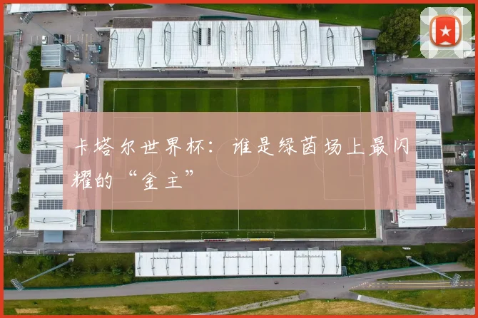 卡塔尔世界杯：谁是绿茵场上最闪耀的“金主”