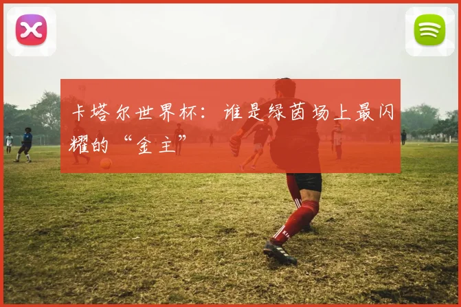 卡塔尔世界杯：谁是绿茵场上最闪耀的“金主”
