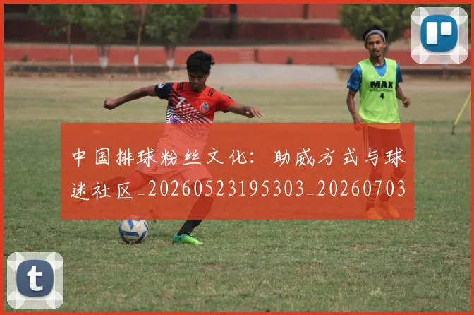 中国排球粉丝文化：助威方式与球迷社区_20260523195303_20260703205147